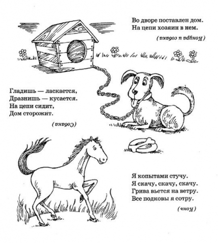 Загадки про животных