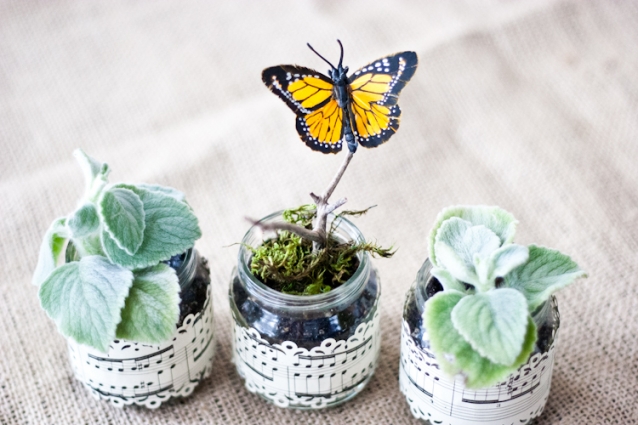 Баночки от детского питания)