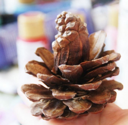 Цветы из шишек