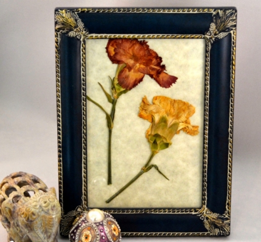 Картина из гербария Картина из гербария