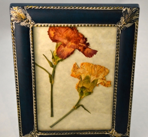 Картина из гербария Картина из гербария