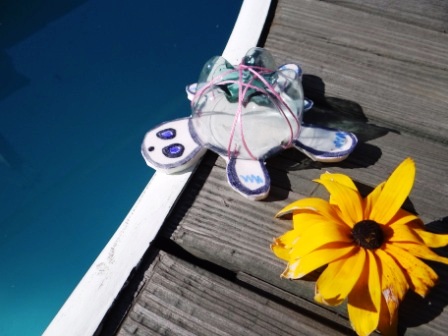 ВОДНАЯ ЧЕРЕПАШКА ВОДНАЯ ЧЕРЕПАШКА