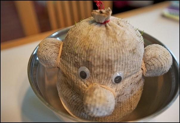 ТРАВЯНЧИК СВОИМИ РУКАМИ