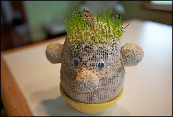 ТРАВЯНЧИК СВОИМИ РУКАМИ