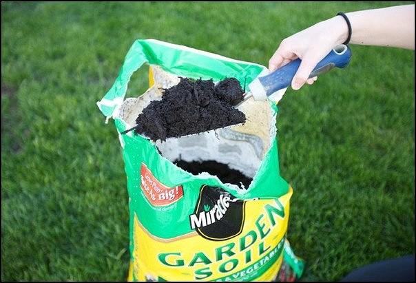 ТРАВЯНЧИК СВОИМИ РУКАМИ