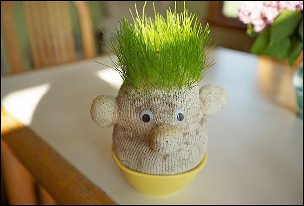 ТРАВЯНЧИК СВОИМИ РУКАМИ