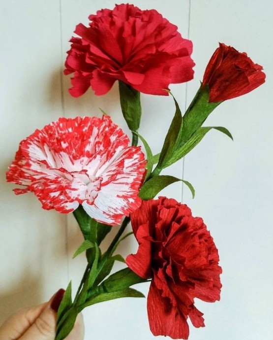 Красная гвоздика Красная гвоздика