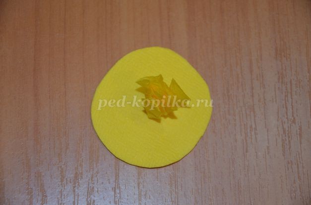 Мой любимый попугай