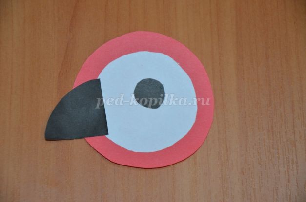 Мой любимый попугай