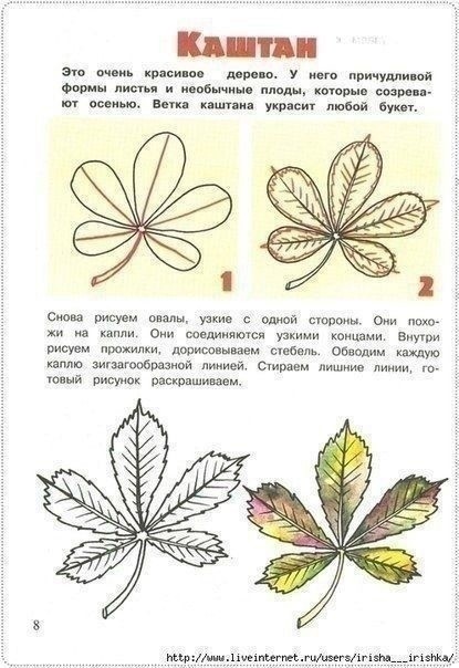 Рисуем самые разные осенние листья