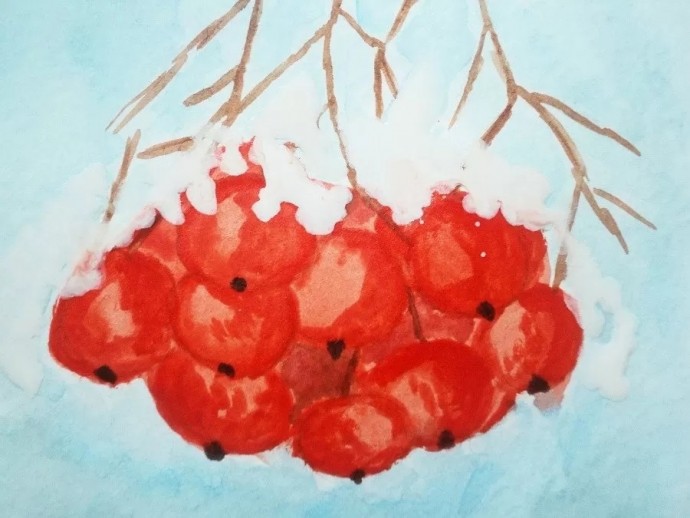 ​Скетч акварелью "Рябина под снегом"