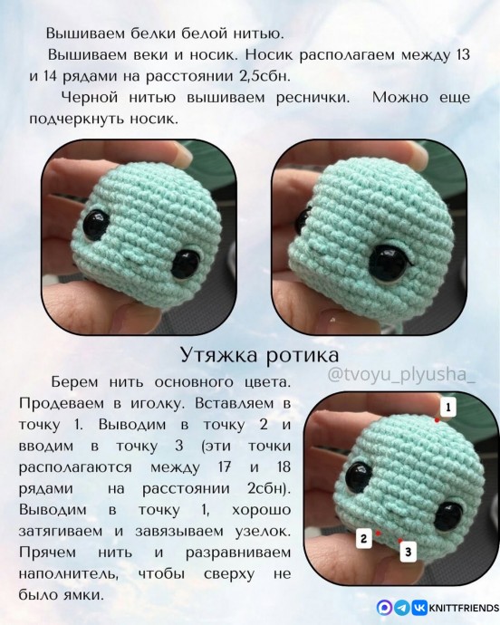 Черепашка Фиби