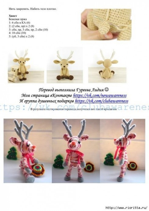 Северные олени Северные олени