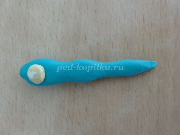 Павлин из природного материала Павлин из природного материала