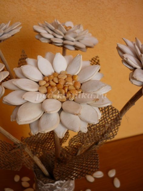 Цветы из тыквенных семечек детскими руками: мастер-класс Цветы из тыквенных семечек детскими руками: мастер-класс