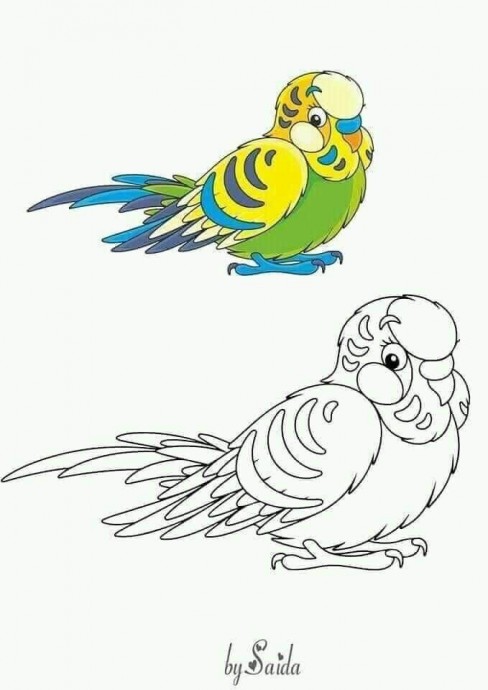 ​Рисуем и разукрашиваем птичек