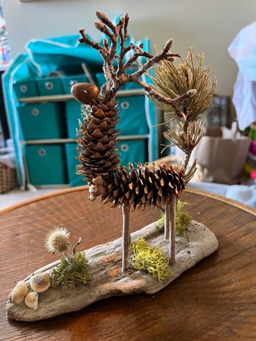 Шишкины идеи Шишкины идеи