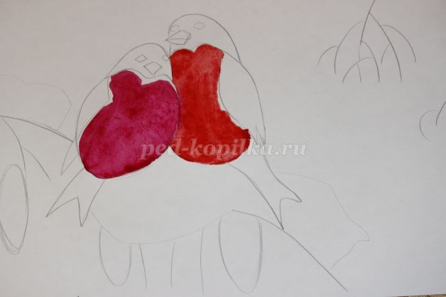 Снегири на ветке: часть 1 Снегири на ветке: часть 1