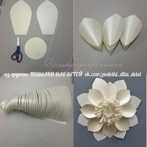 Цветы из бумаги Цветы из бумаги