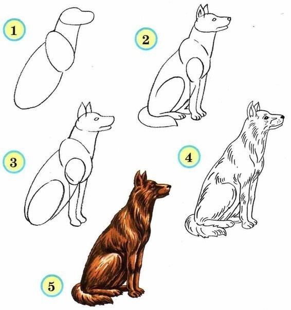 ​Уроки рисования: домашние животные