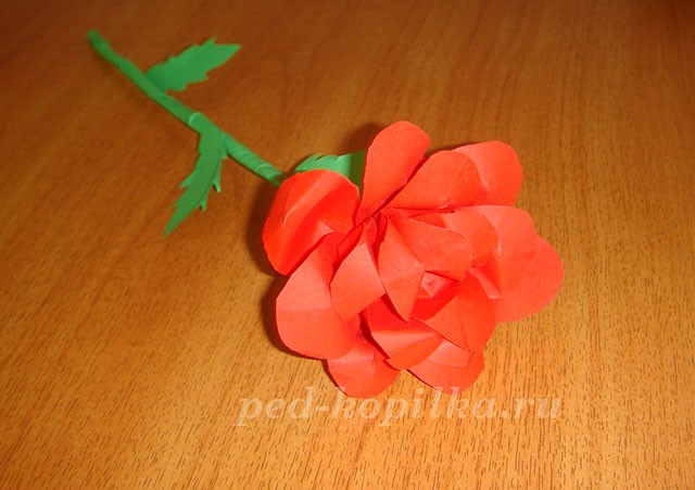 Роза из бумаги: мастер-класс