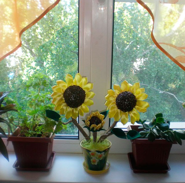 Подсолнухи из кофейных зёрен: мастер-класс Подсолнухи из кофейных зёрен: мастер-класс