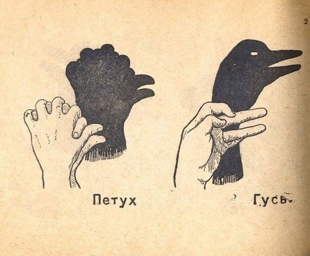 Теневые животные Теневые животные