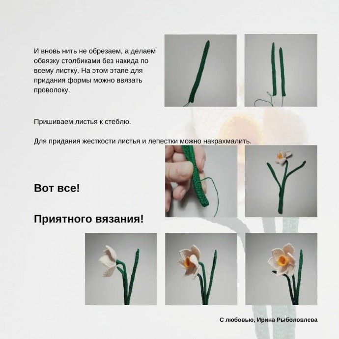 ​Нарцисс из пряжи