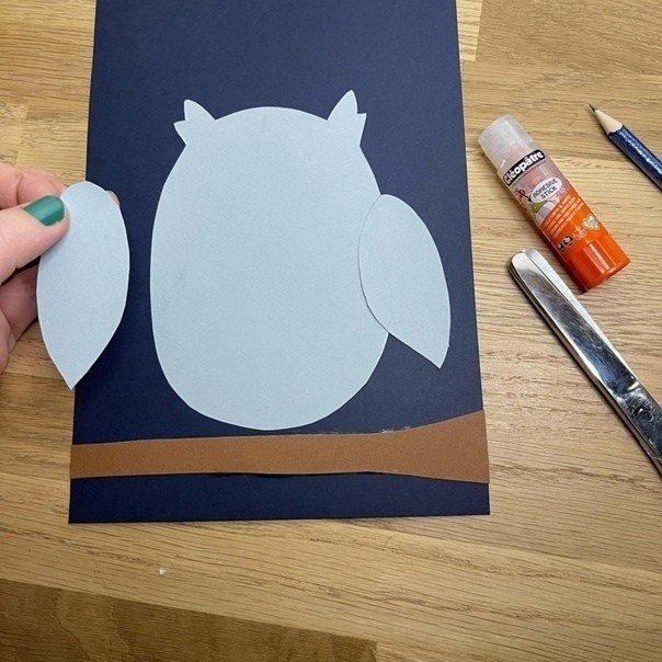 ​Ночное бодрствование совы