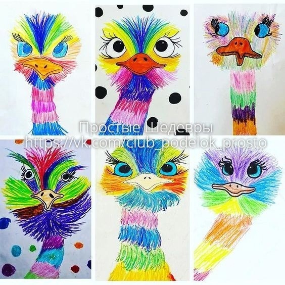 Очаровательный страус Очаровательный страус