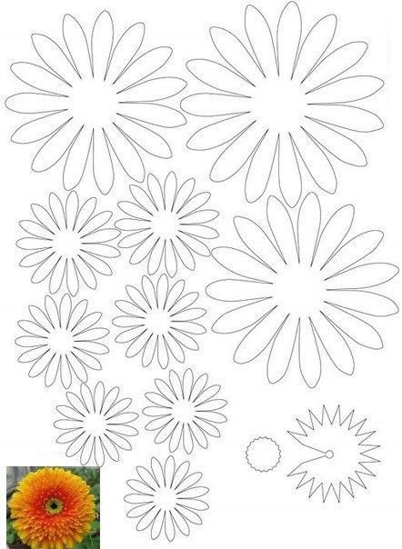 Цветы из бумаги