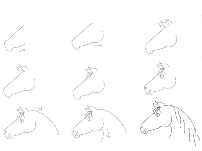 Учимся рисовать лошадок