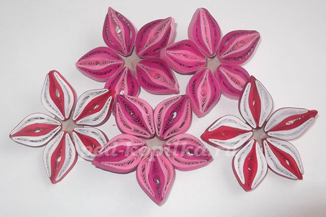 Капелька лета Капелька лета