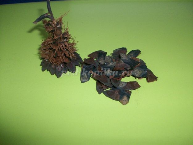 Настольная композиция из природного материала детскими руками: мастер-класс, часть 2