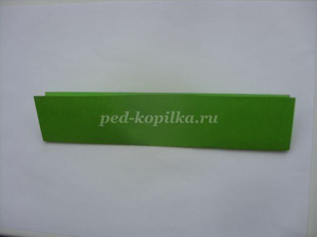 Объёмная открытка "Тюльпан": мастер-класс, часть 1