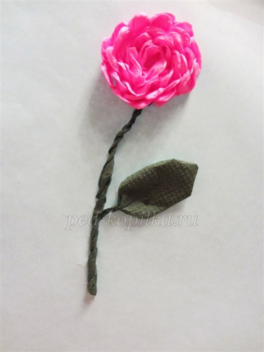 Георгины из гофрированной бумаги: мастер-класс
