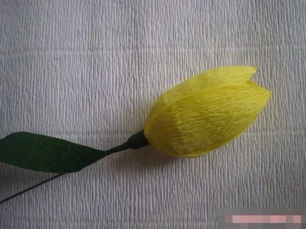 Букет из конфет: тюльпаны Букет из конфет: тюльпаны