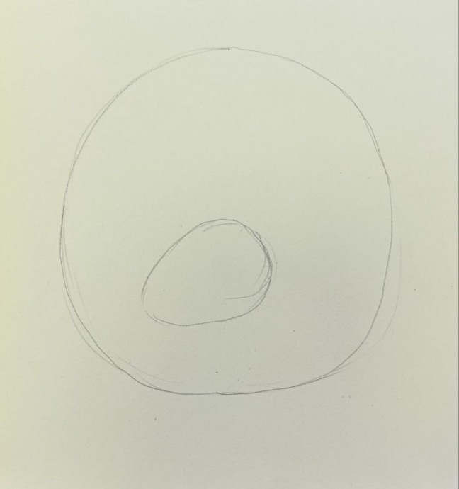 ​Белка в дупле