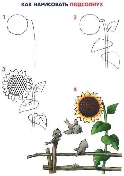 Пошаговые уроки рисования растений