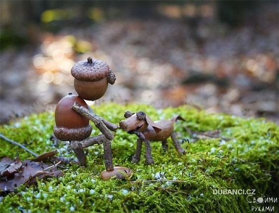 ​Весёлые желуди