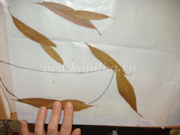 Аппликация из листьев: натюрморт Аппликация из листьев: натюрморт