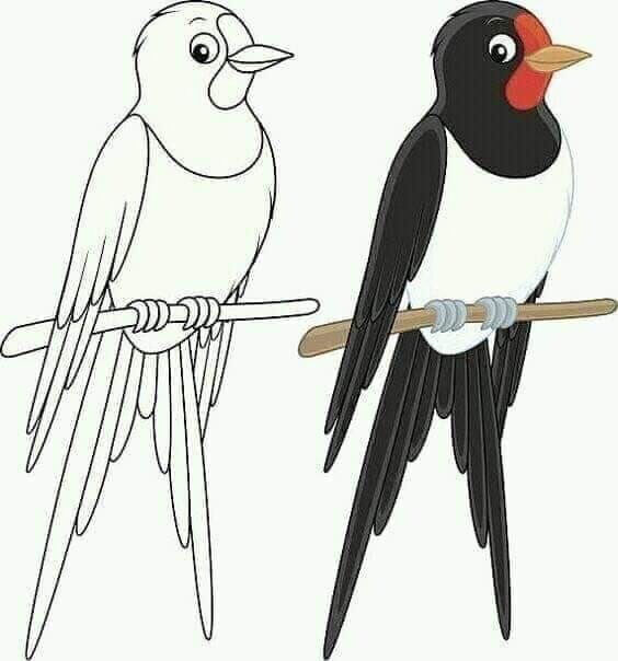 ​Рисуем и разукрашиваем птичек