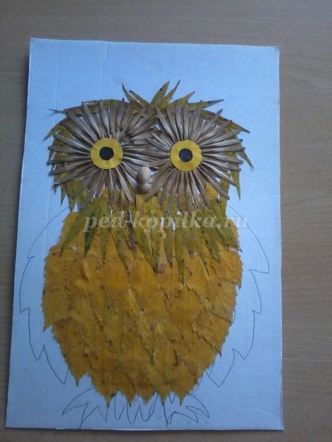 ​Совушка-сова из крылатки клёна: часть 2