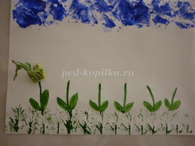 Поле одуванчиков Поле одуванчиков