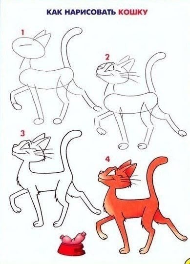 Рисуем разных животных