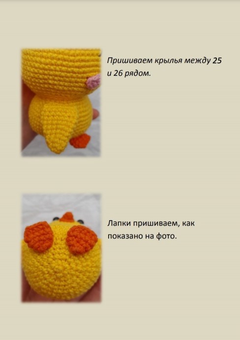 Цыпленок Цыпленок