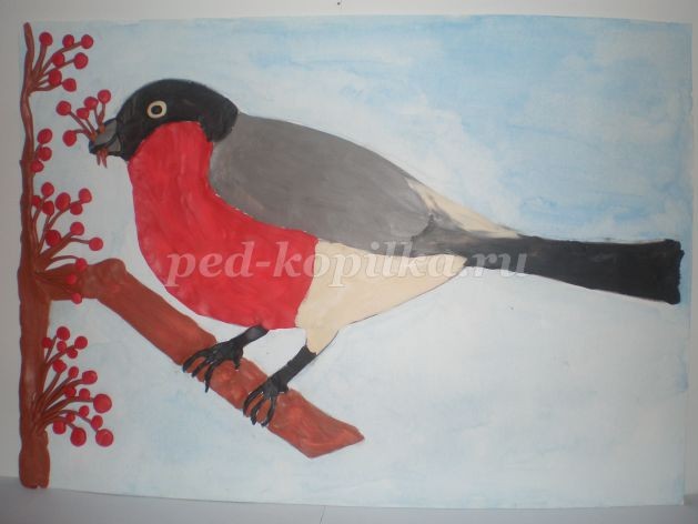 Пластилинография "Снегирь зимой": часть 2