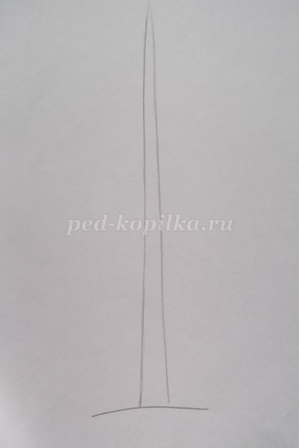 Рисование сосны в технике акварель