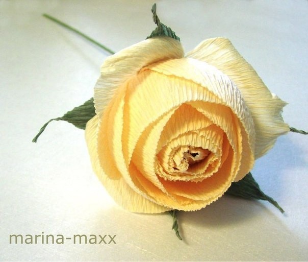Роза из гофрированой бумаги