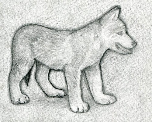 ​Рисуем с детьми волчонка